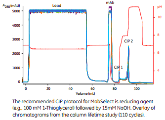 5d4105dc5ea0e.png A1.png